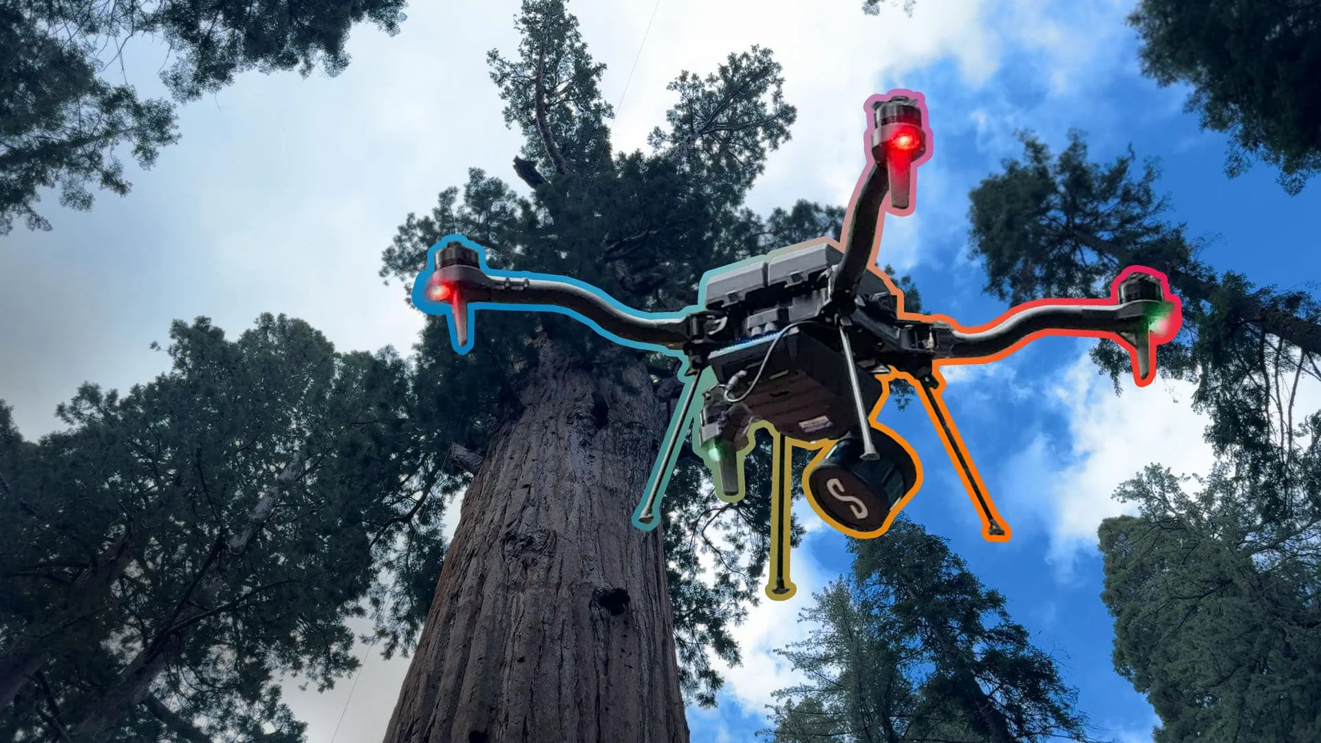 WATCH: Freefly Astro Prime inspects world’s largest tree — featured image